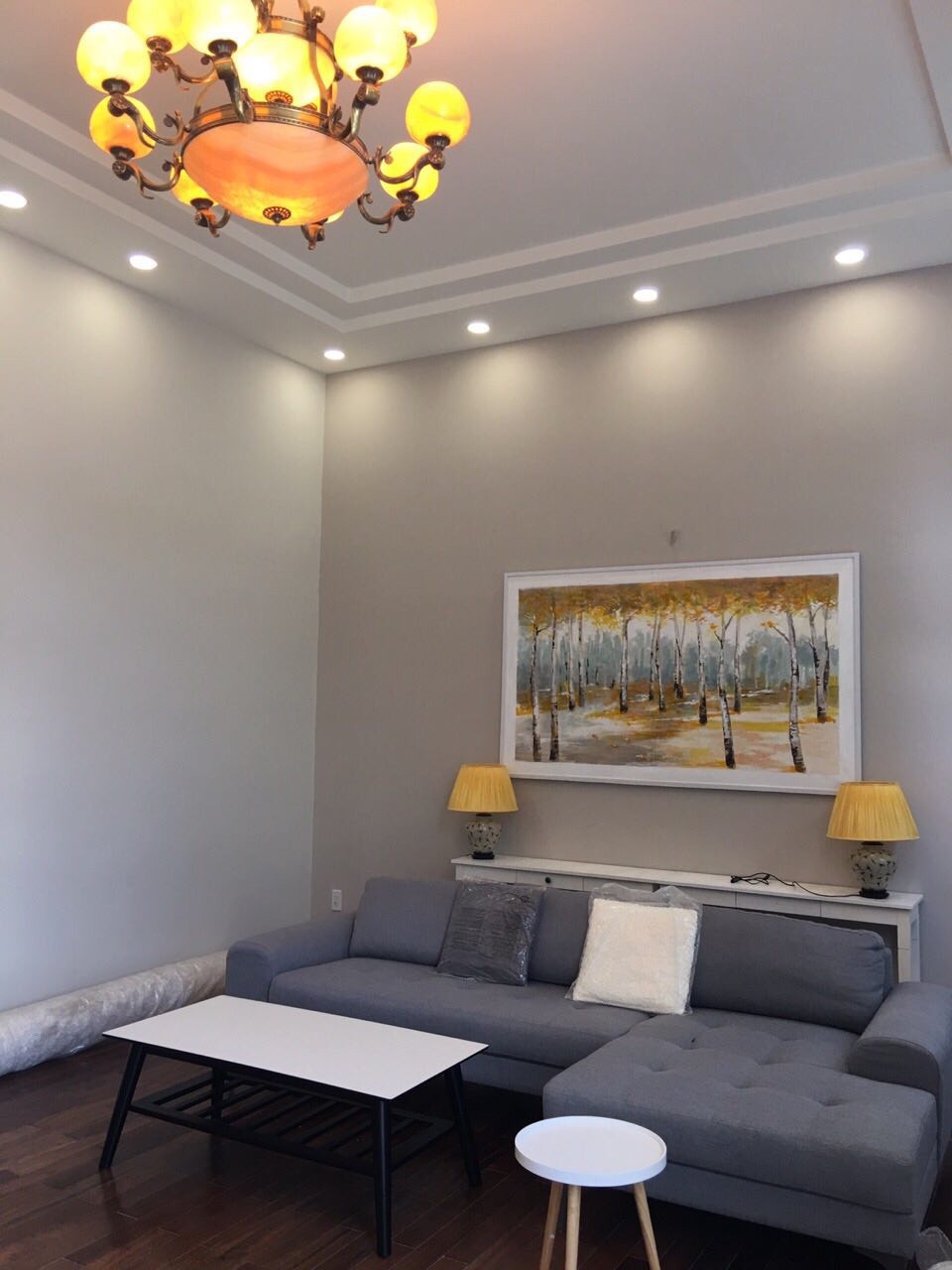 Cần Cho Thuê Biệt Thự Mỹ Giang- Phú Mỹ Hưng - Quận 7 1