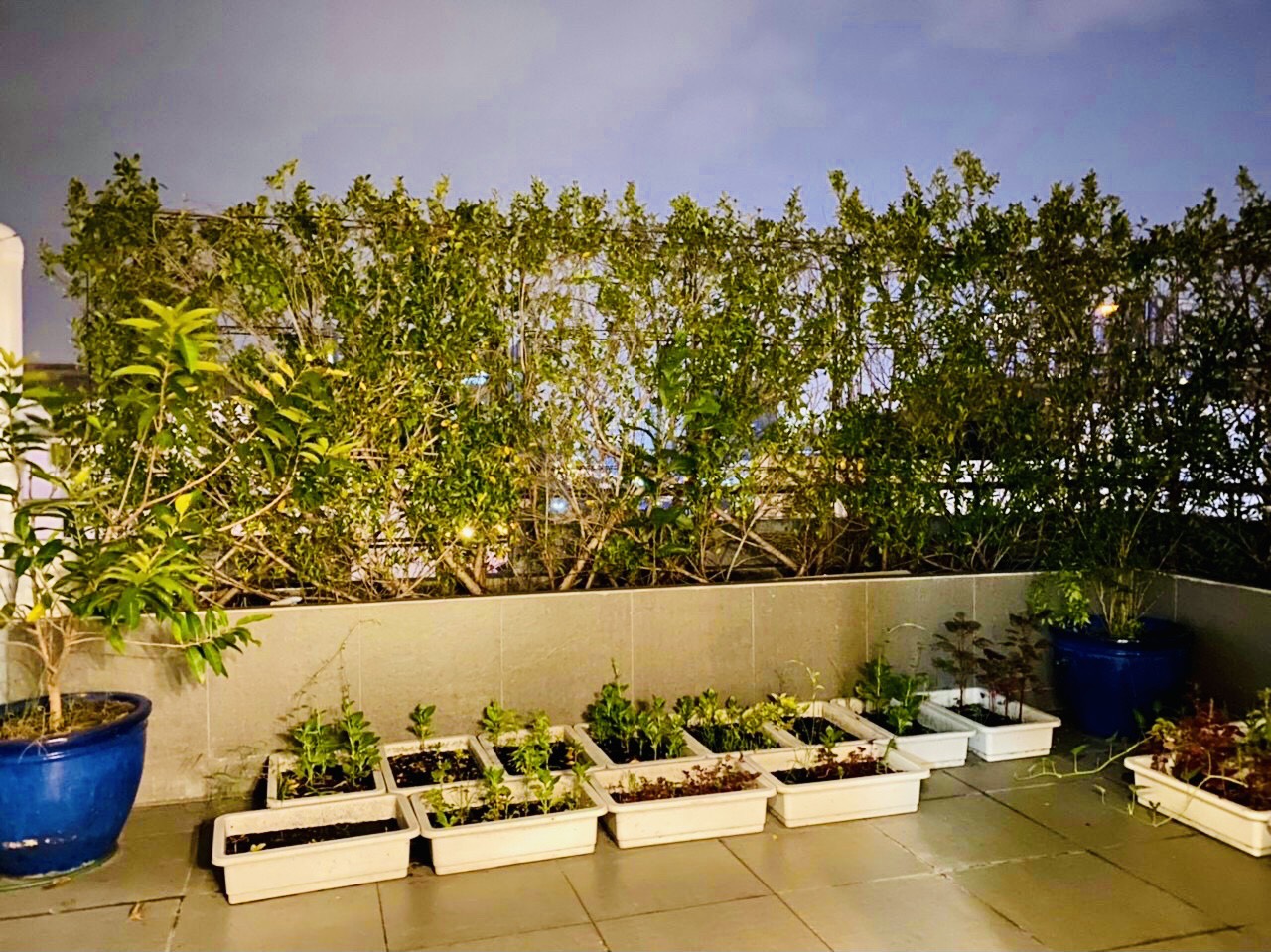 Cần Bán Penthouse Mỹ Khánh 4 - Phú Mỹ Hưng - Quận 7 3