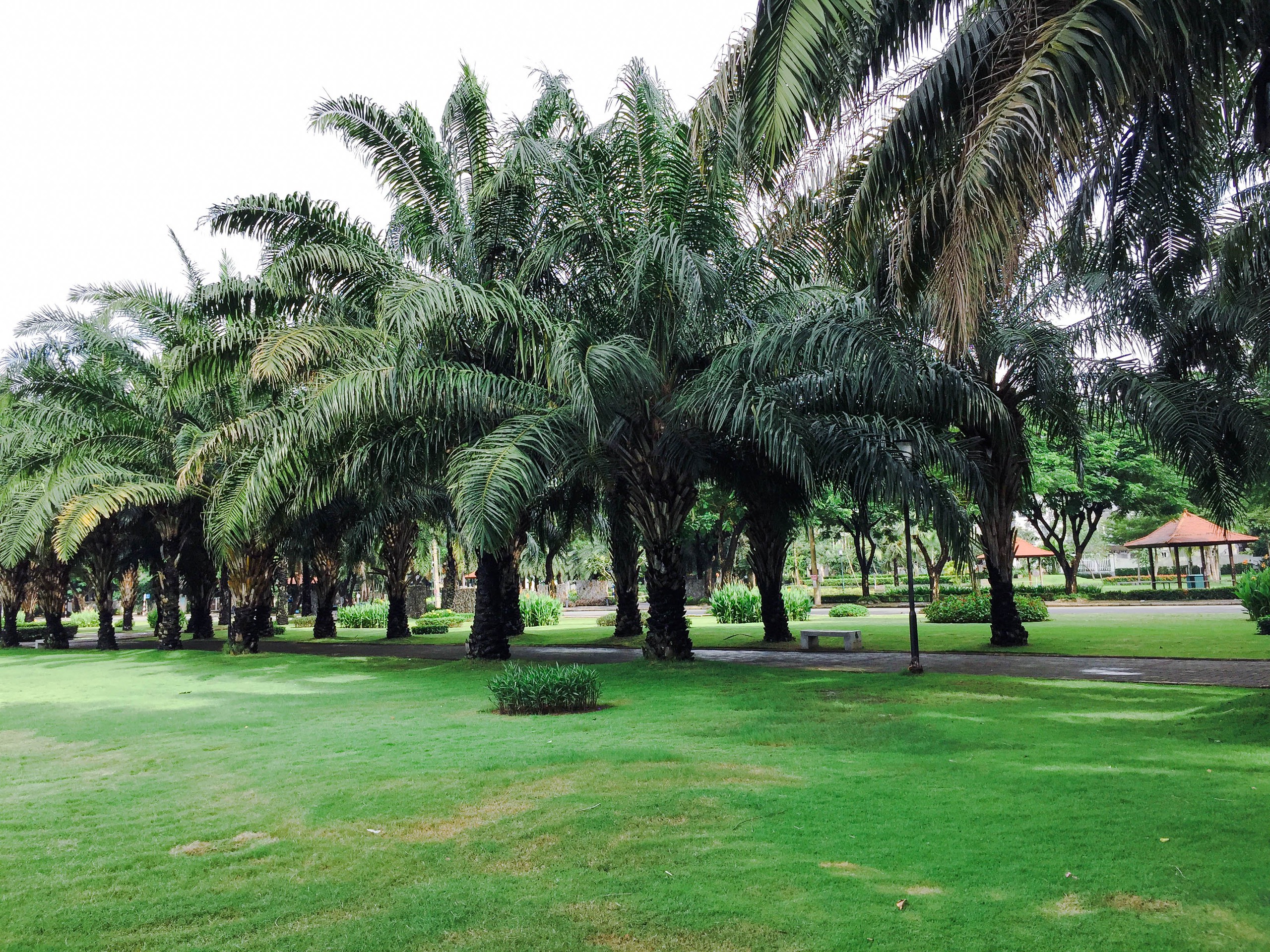 For Rent My Vien Penthouse - Phu My Hung - District 7 18