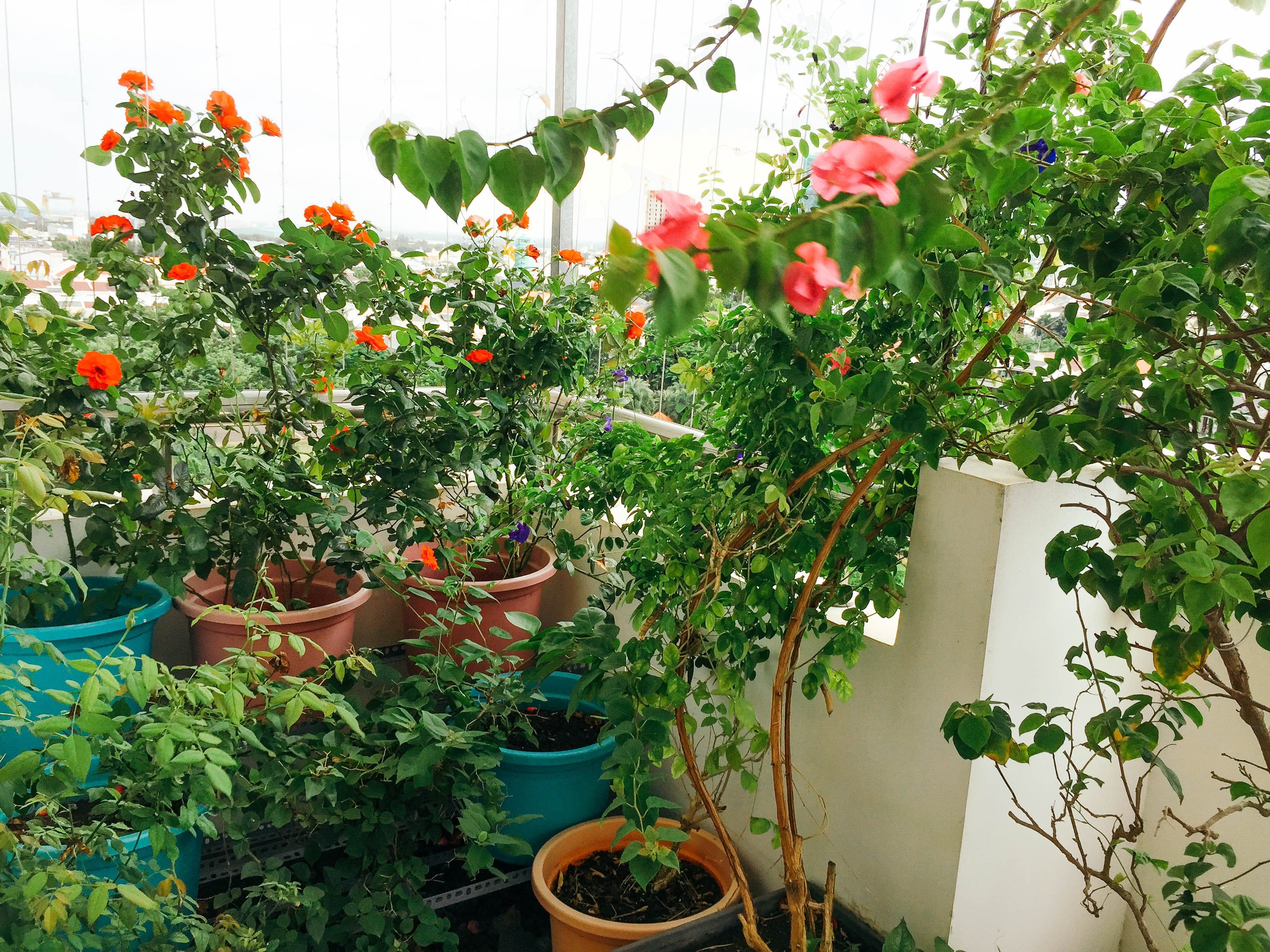 For Rent My Vien Penthouse - Phu My Hung - District 7 9