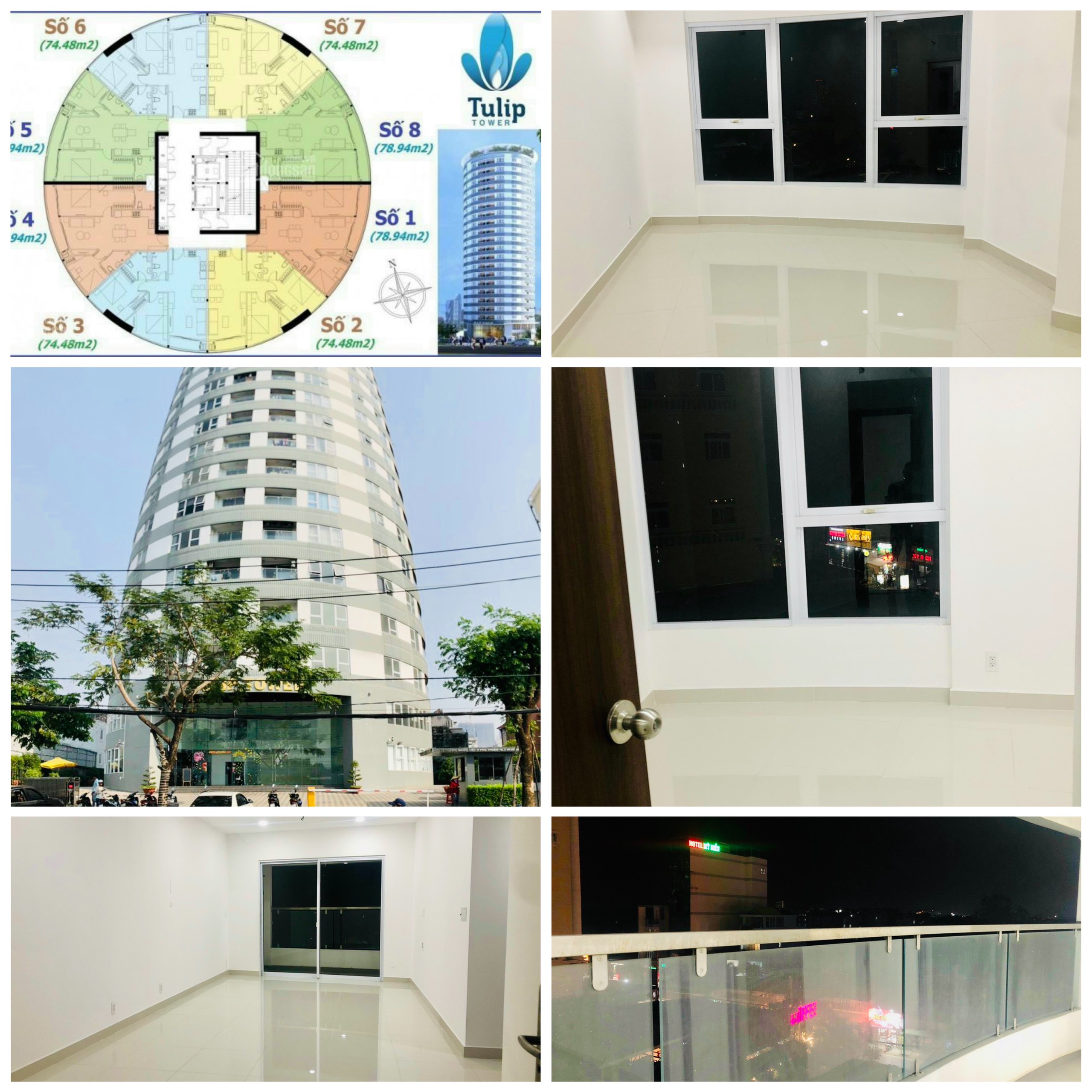 Tulip Project - District 7