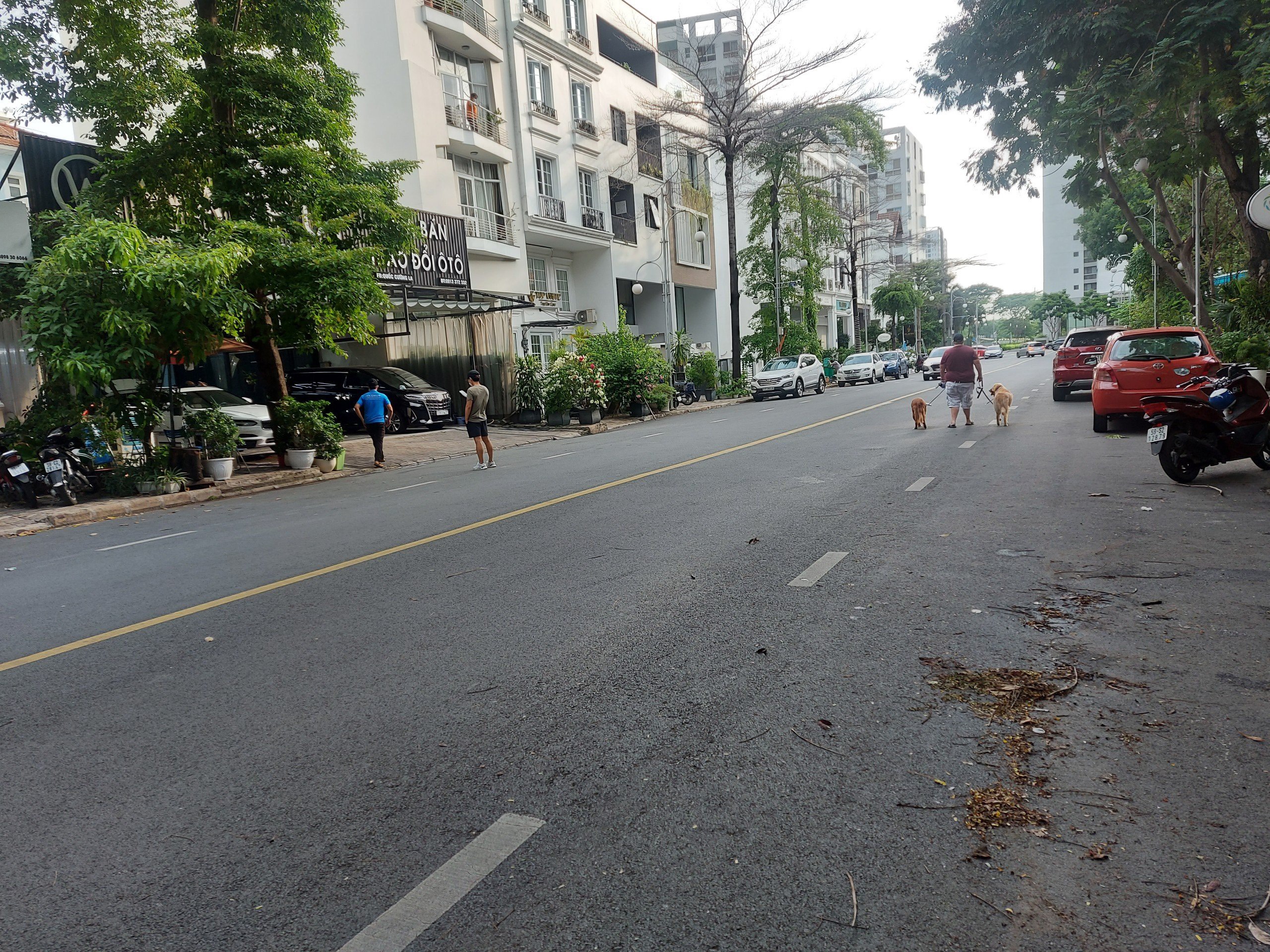 Cho Thuê Biệt Thự Đơn Lập Mỹ Kim 2 Hướng Nam Phú Mỹ Hưng Quận 7 9