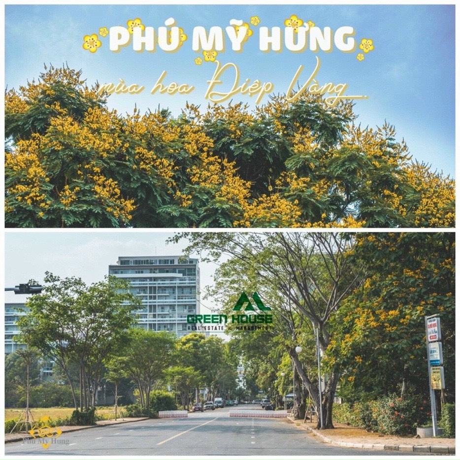Bán Gấp Biệt Thự Nam Thông - Phú Mỹ Hưng - Quận 7